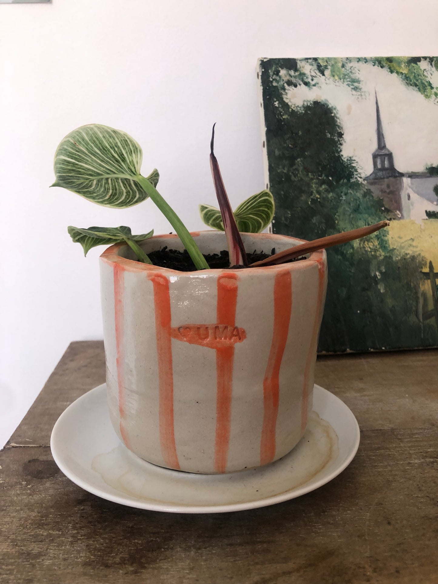 Pot fleurs
