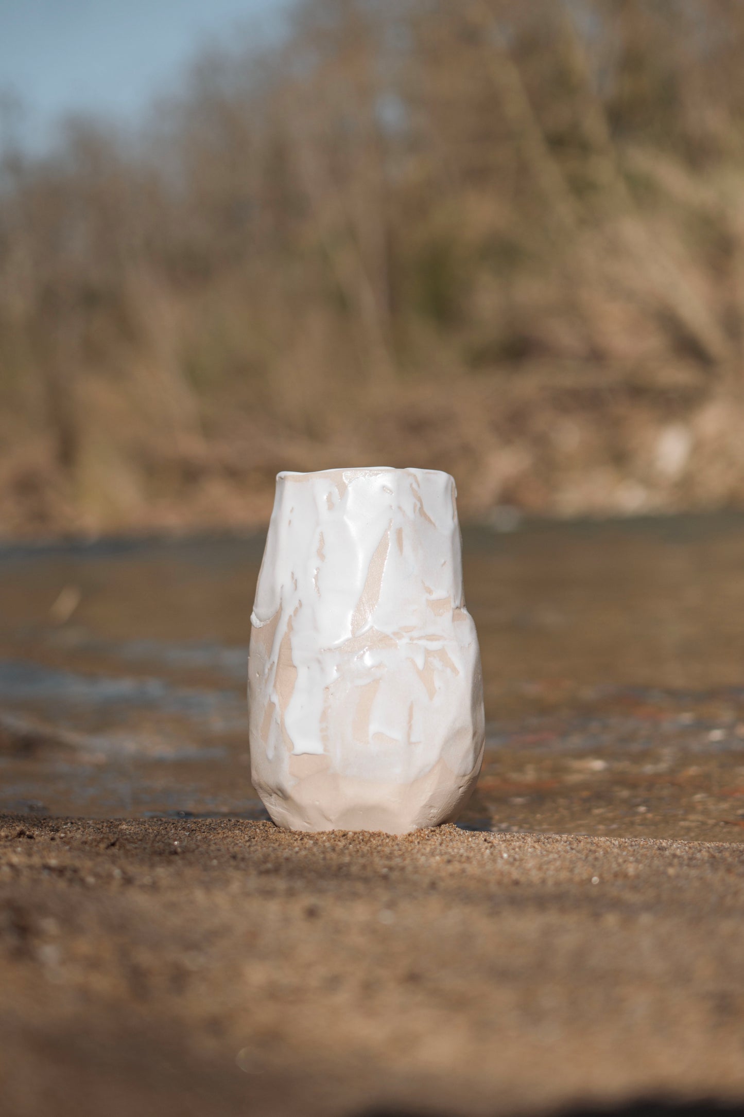 Vase Artique